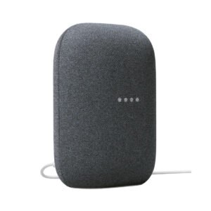 Google Nest Audio